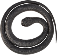 <notranslate>un Serpent En Caoutchouc Black Mamba</notranslate>