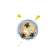 <notranslate>a Folat Stuffing Lot Of 3 Flies</notranslate>