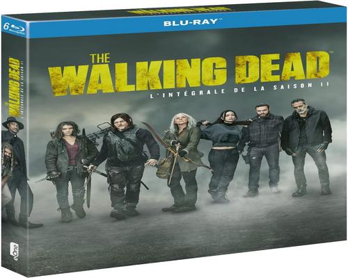 en Tv-Serie The Walking Dead - Saison 11