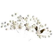 <notranslate>um conjunto de grampos de cabelo Wodasi</notranslate>