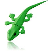 Une Clé USB Lézard 32Go