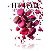 Un livre Macarons de Pierre Hermé