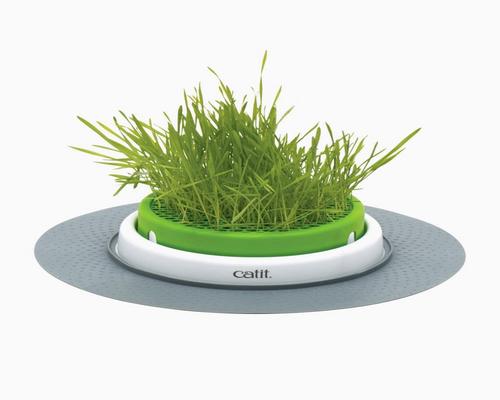 un Pack Herbes Catit Jardin D Pour