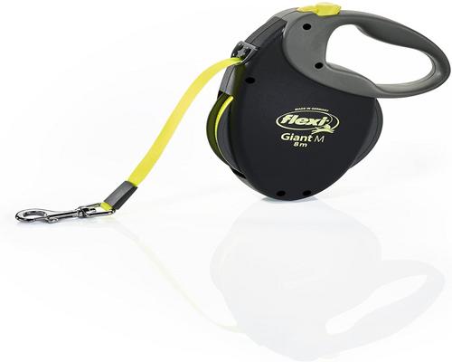 une Laisse Flexi Giant M