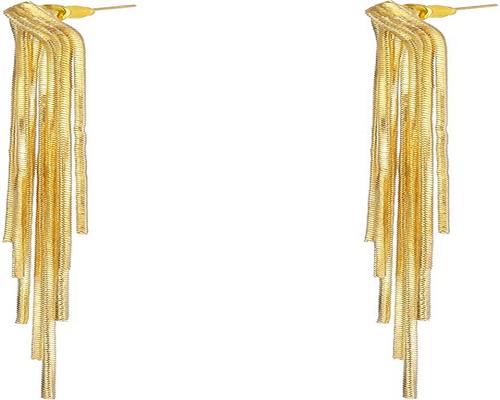 une Paire De Boucles D'Oreilles À Franges