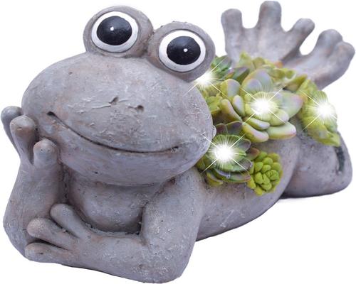 une Figurine Solaire De Grenouille
