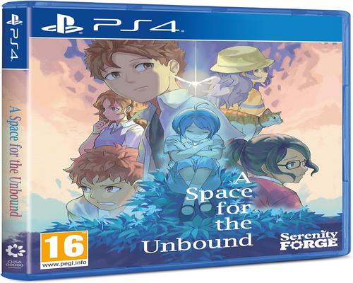 un Jeu A Space For The Unbound Pour Ps4