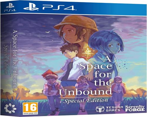 un Jeu A Space For The Unbound Special Edition Pour Ps4