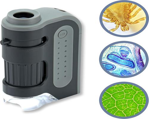 un Microscope De Poche Carson Microbrite Plus