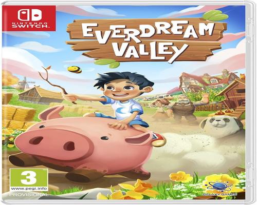 un Jeu Everdream Valley Sur Nintendo Switch