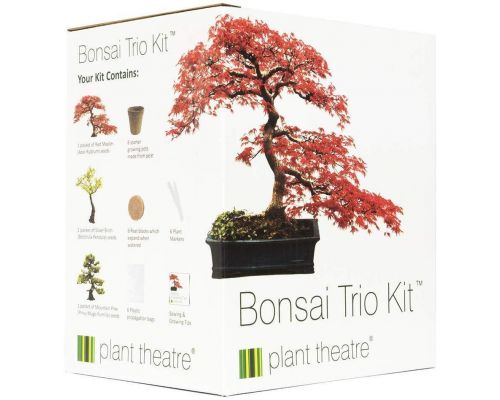 Un Kit Bonsaï Trio
