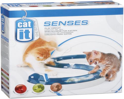 a Cat It Senses Gioca a Circuit Toy
