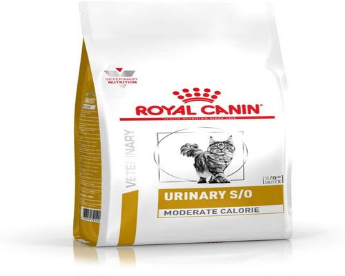 ett Royal Canin Food Pack