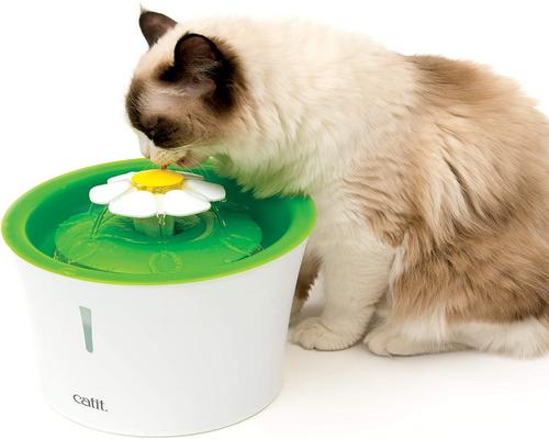en Catit Flower Cat Fountain