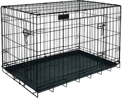 a Cage Riga Dogs Gm isot koirat