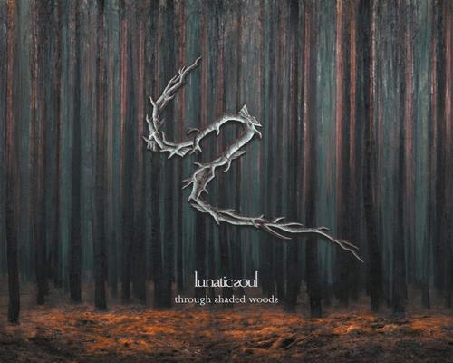 a Cd Through Shaded Woods