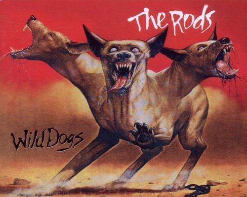 een cd Wild Dogs