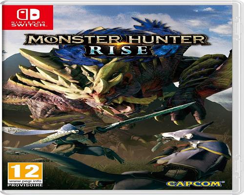 a Monster HunterTM Rise Game