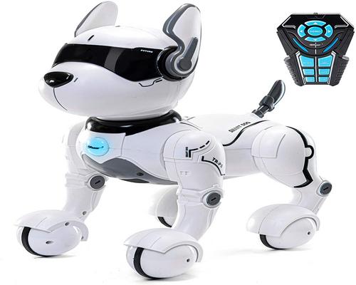 un perro robot de control remoto