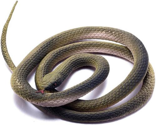 Un serpente di Halloween simulazione di gomma finto pitone animale L o il primo di aprile