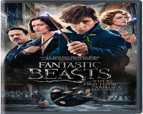 a Movie Fantastic Beasts And Where To Find Them (Bilingual) [2-Disc Dvd]