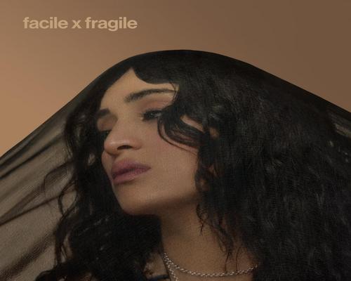 een heruitgave van het album “Facile X Fragile”