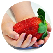 <notranslate>One Protection Fragaria Ananassa/Giant Strawberries/50 Seeds/The Largest Strawberry In The World/Good Taste</notranslate>