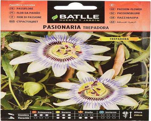 en White Climbing Passiflora Batlle Protection