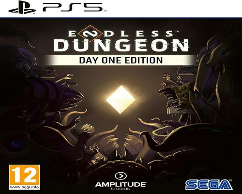 an “Endless Dungeon” Game for PS5