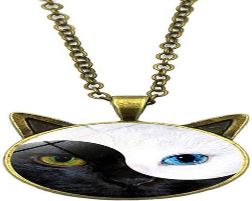 un collar Tai Chi Yin Yang gato colgante cadena de vidrio regalo