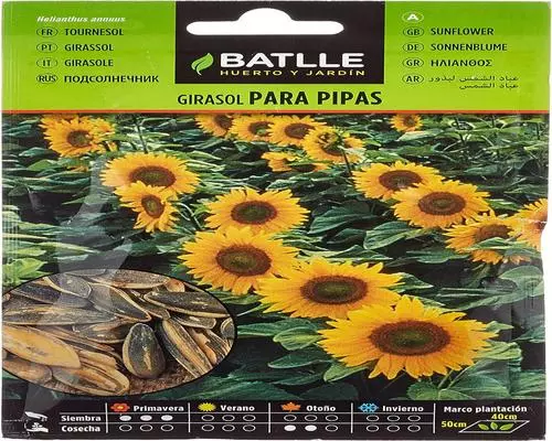 <notranslate>Protección de batalla</notranslate>