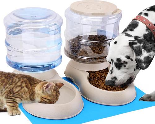 a set of kibble and water dispensers