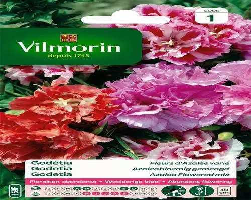 <notranslate>Un paquete de semillas de Godétia Double Vilmorin</notranslate>