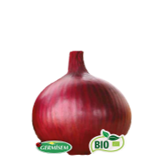 <notranslate>un Paquet De Graines D'Oignon Rouge Amposta Germisem Bio</notranslate>