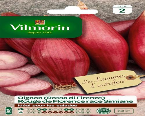 a Pack of Onion Seeds from Florence Vilmorin