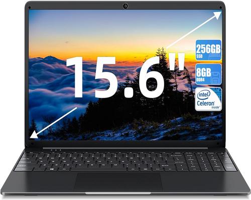 a Sgin 15.6" Laptop