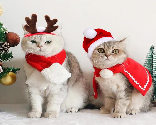un Déguisement De Noël Pour Chiens Et Chats