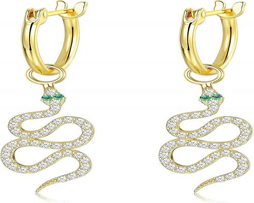 A Pair of Dangling Earrings