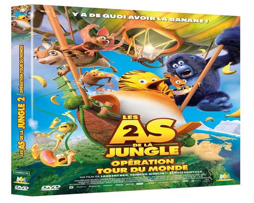 eine DVD „Jungle Aces 2“