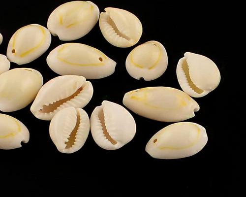 a Lot of Oval Cowrie Shell Beads Boutigem