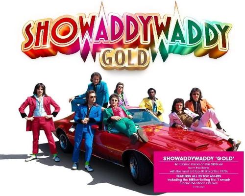 een Rock 'N' Roll Showaddywaddy - Gold