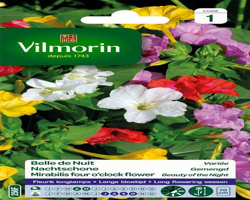 <notranslate>un Lot De Semences Florales Multicolores Belle De Nuit Vilmorin</notranslate>
