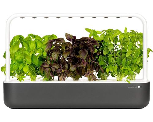 Un Potager d'Intérieur autonome