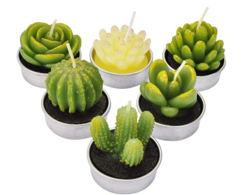 Een set van 6 cactuskaarsen