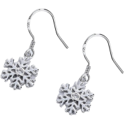 <notranslate>a Pair of Snowflake Earrings</notranslate>